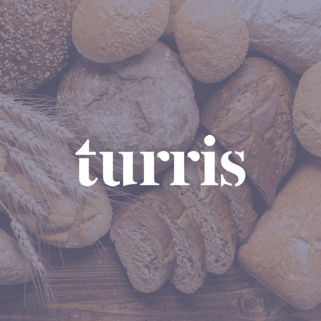 Estrategia integral de marketing para el crecimiento digital de Turris